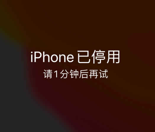 广华办事处苹果手机维修分享:iPhone 显示“不可用”或“已停用”怎么办？还能保留数据吗？ 