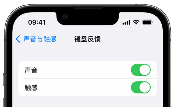 广华办事处苹果手机维修分享iPhone 14触感键盘使用方法 