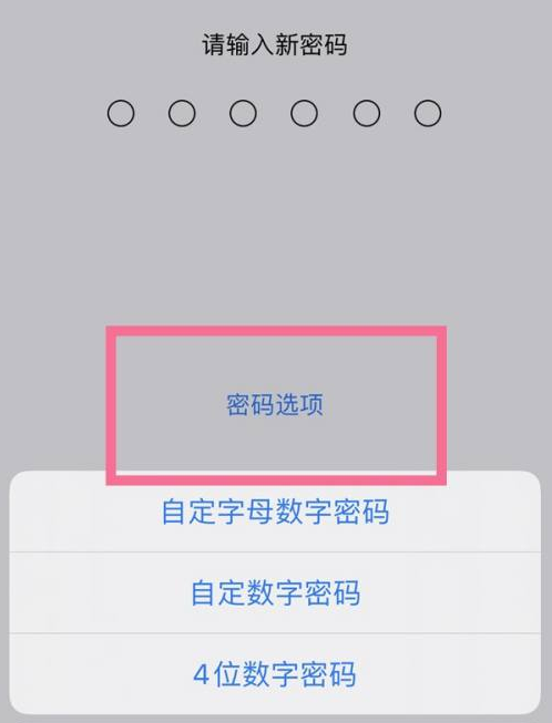 广华办事处苹果14维修分享iPhone 14plus设置密码的方法 