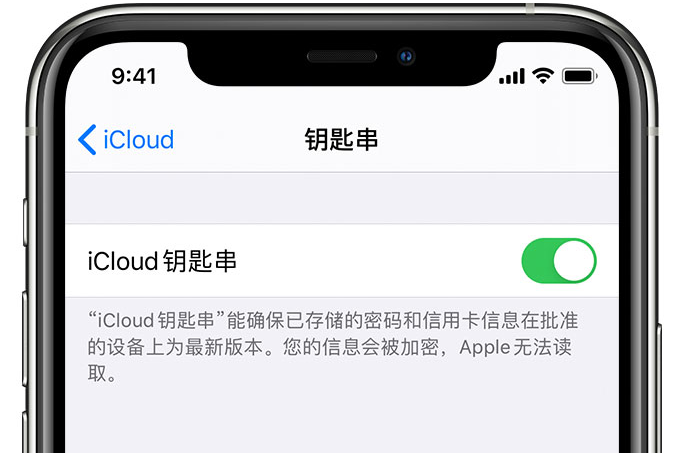 广华办事处苹果手机维修分享在 iPhone 上开启 iCloud 钥匙串之后会储存哪些信息 