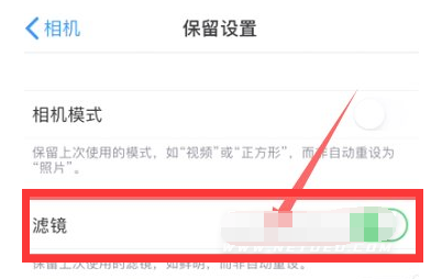 广华办事处苹果13维修分享iPhone13拍照有绿点是怎么回事 